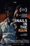 Snails in the rain Snails in the rain