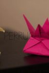 Perruche Perruche